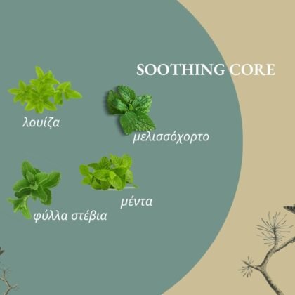 Soothing Core Βοτανικό Ρόφημα 25γρ