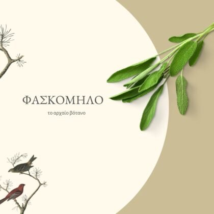 Βλάχος Βότανα