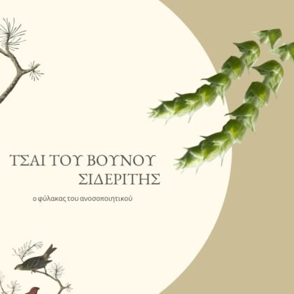Ελληνικό Βιολογικό Τσάι Βουνού 30γρ