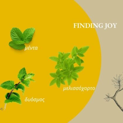 Finding Joy Βοτανικό Ρόφημα 30γρ