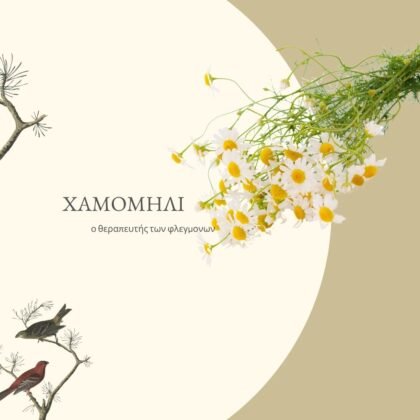 Pilgrim Ελληνικό Βιολογικό Χαμομήλι 30 g