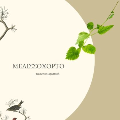 Ελληνικό Βιολογικό Μελισσόχορτο 25 gr
