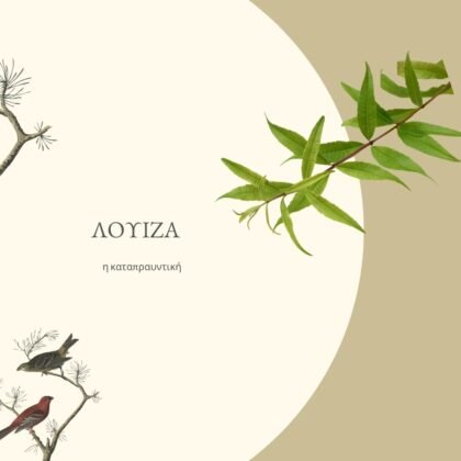 Ελληνική Βιολογική Λουίζα 25 g