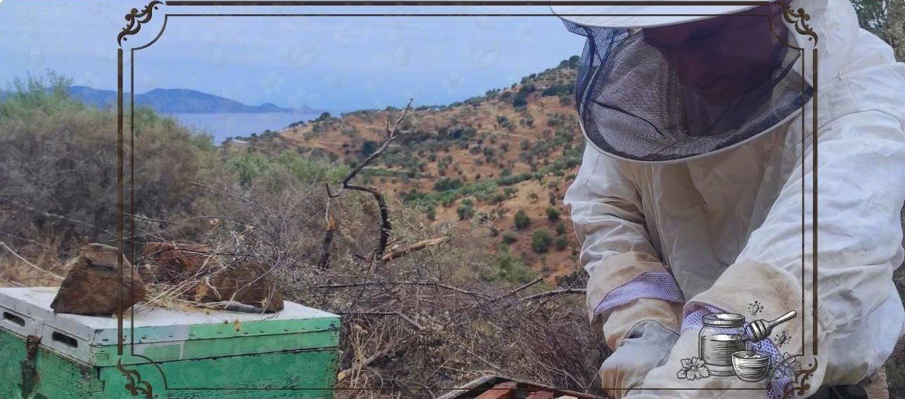 μέλι συσκευασμένο σε μερίδες