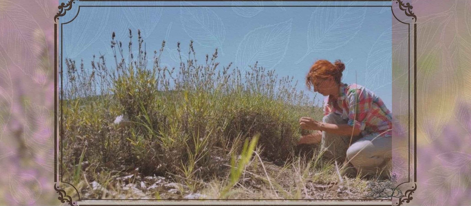 Συσκευαστήριο βοτάνων